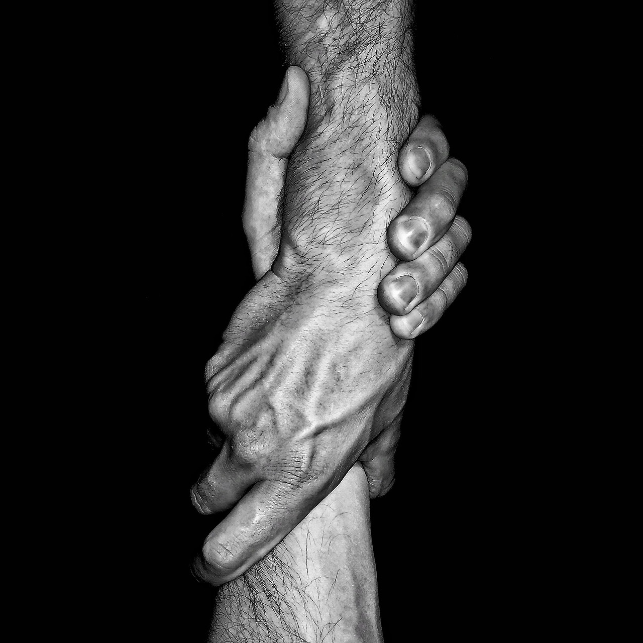 Collaborative Partnerships in Humanitarian Aid