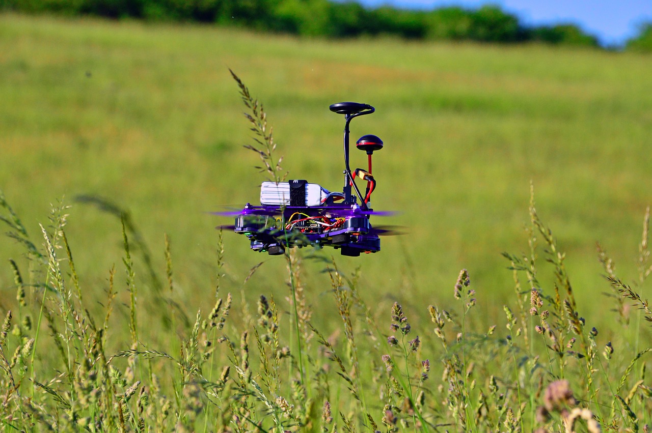 Drone Mapping and Surveying Techniques