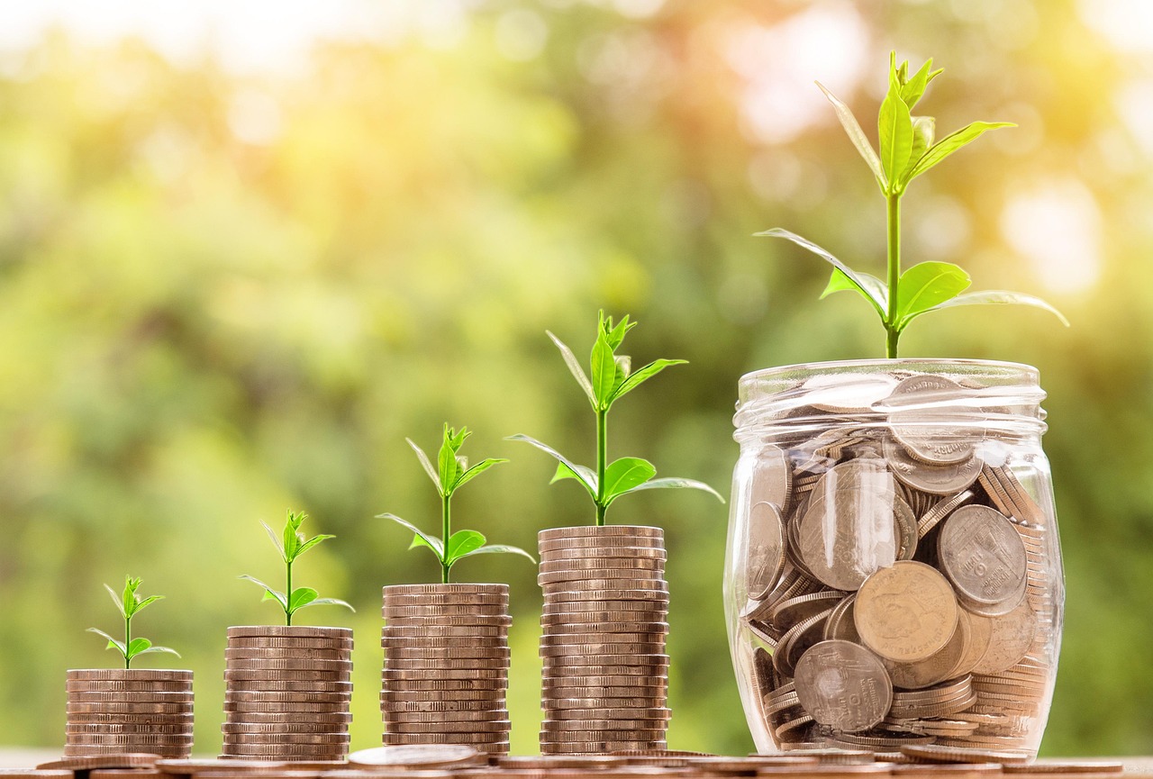 Corporate Governance in Financial Institutions
