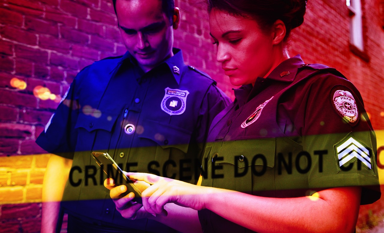 Fraudulent Claim Detection
