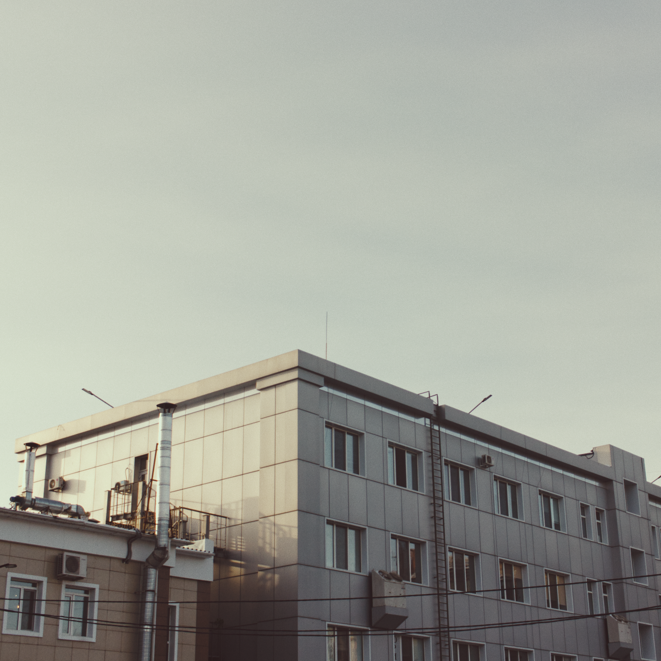 Intellectual Property Rights in International Business.