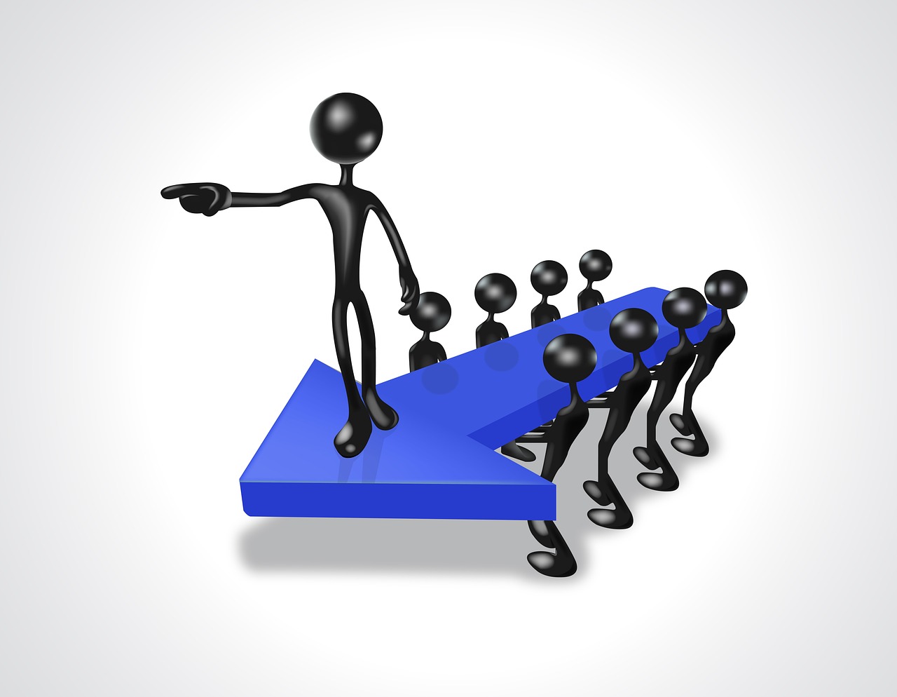 Group Dynamics and Leadership in Horticultural Therapy