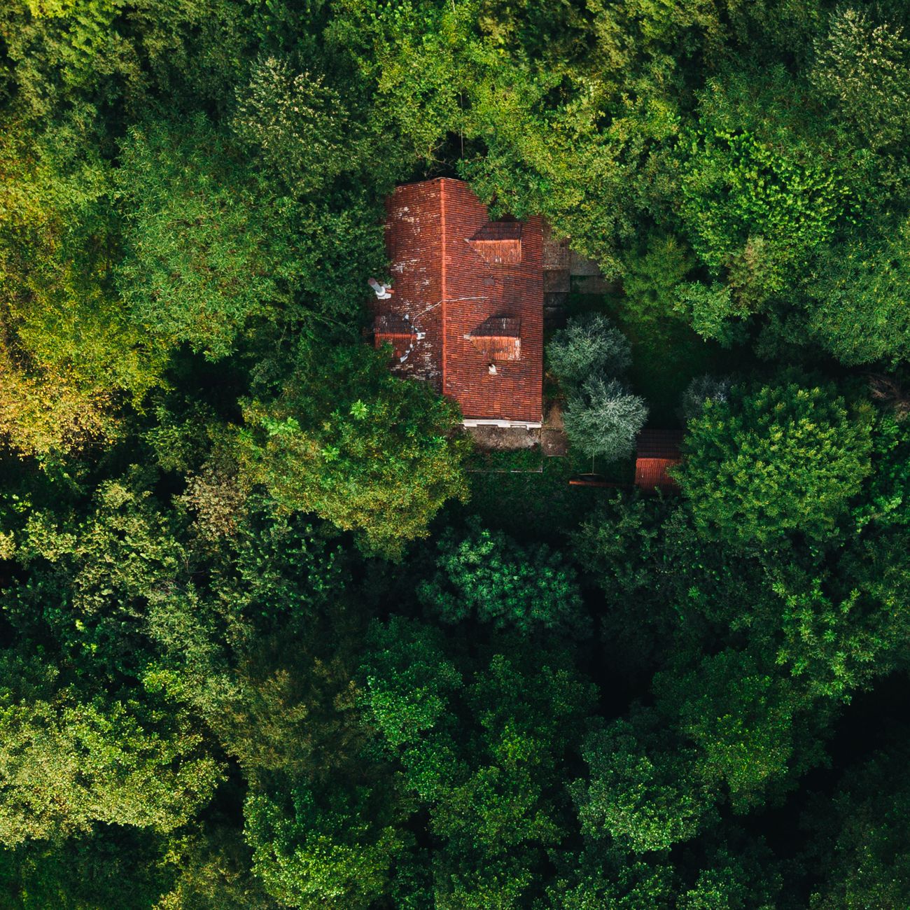 Sustainability in Hospitality Asset Management