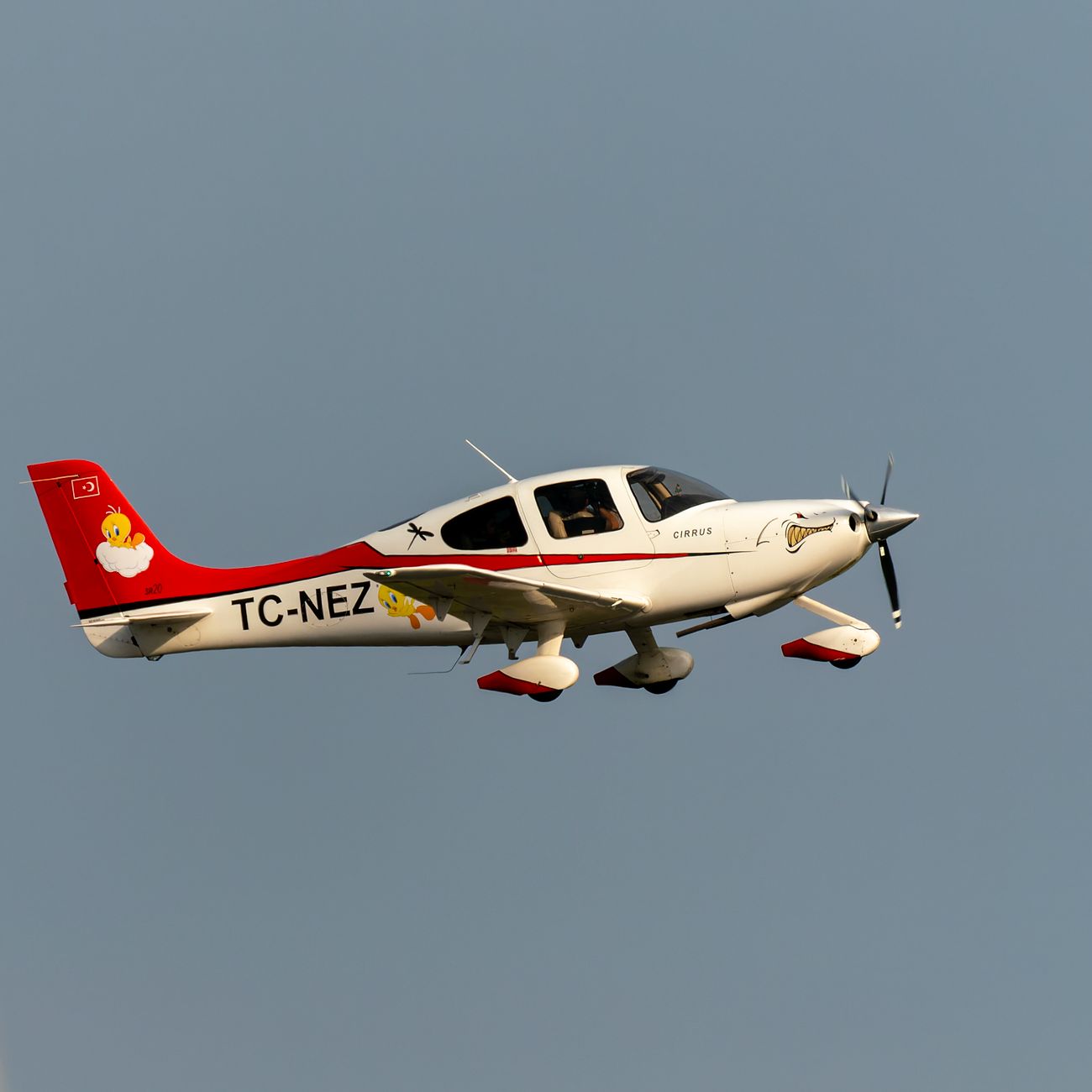 Cabin Crew Training and Supervision