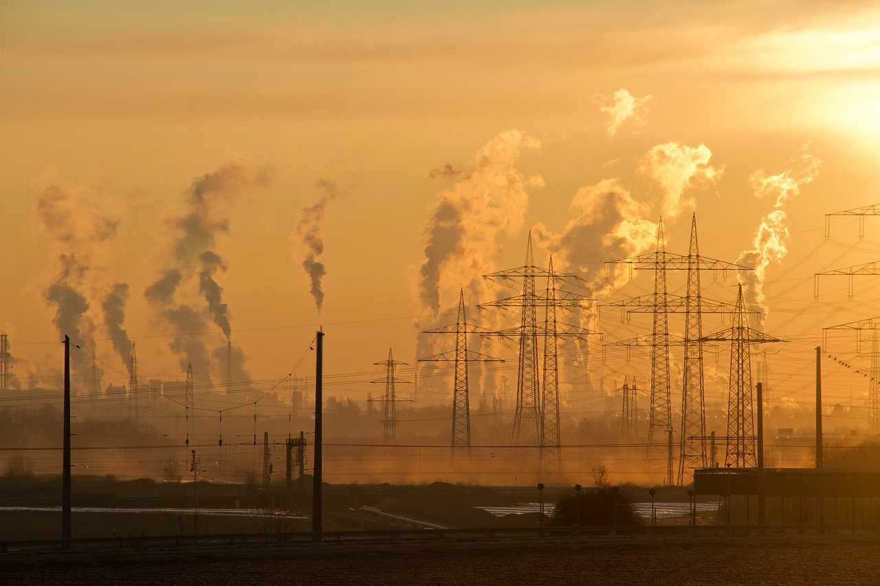 Environmental Toxicology