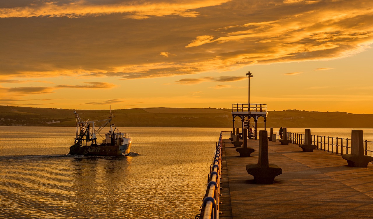 Port Operations and Logistics