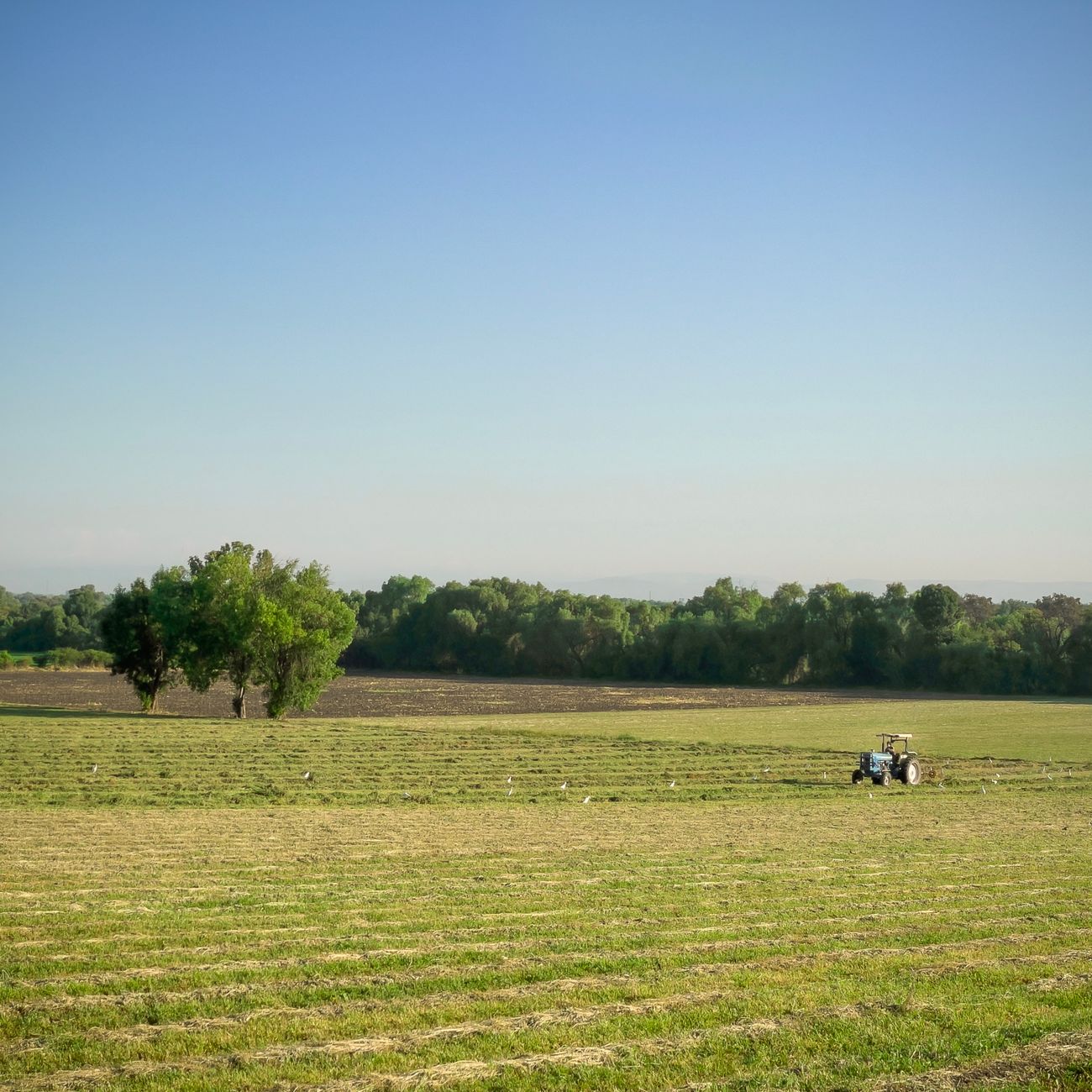 Water Management in Agroecosystems