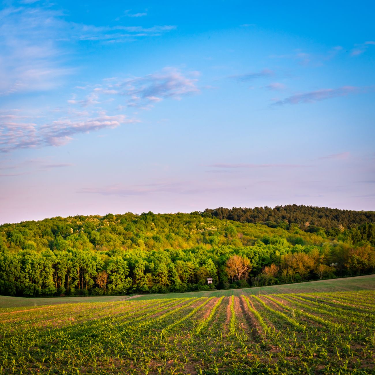Marketing and Business Planning for Regenerative Farms