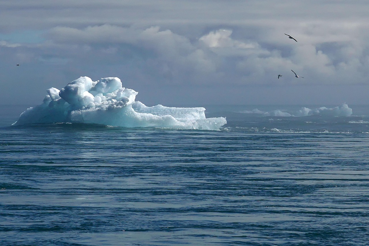 Climate Change and Migration