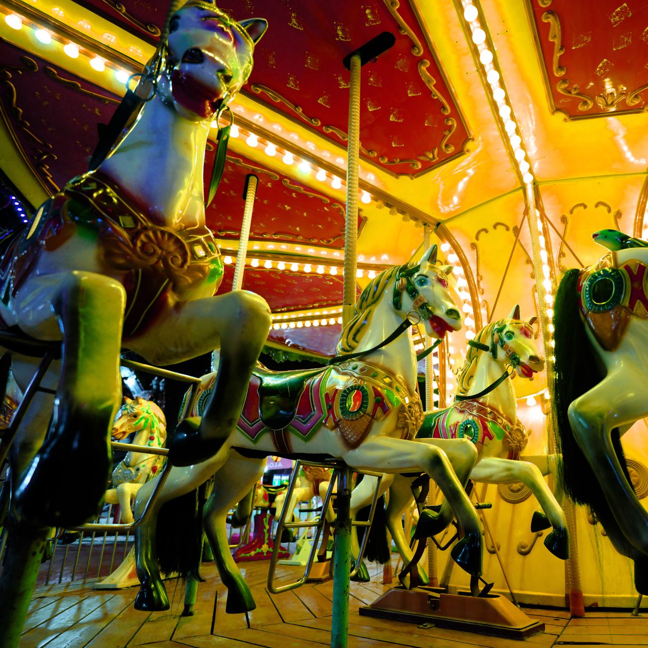 Human Resources in Theme Parks
