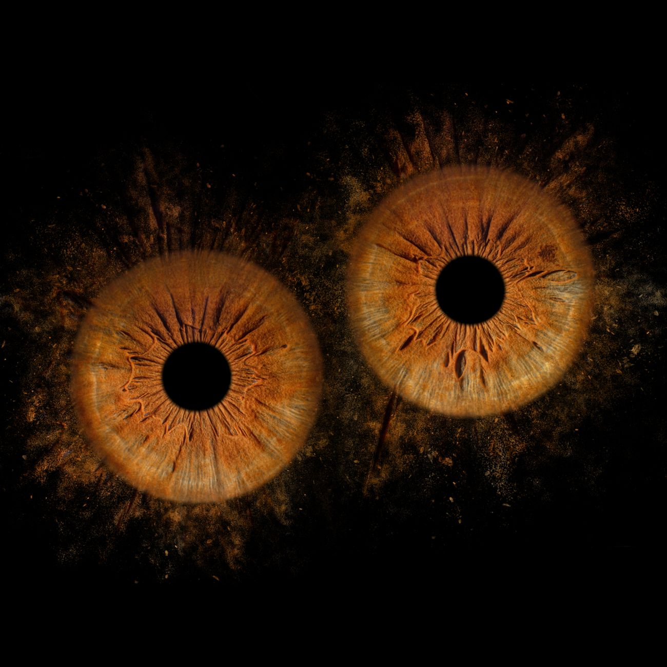 Clinical Trials and Validation of AI in Ophthalmology