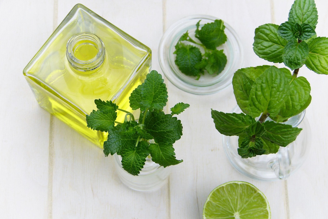 Herbal Remedies for Digestive Disorders in Rabbits