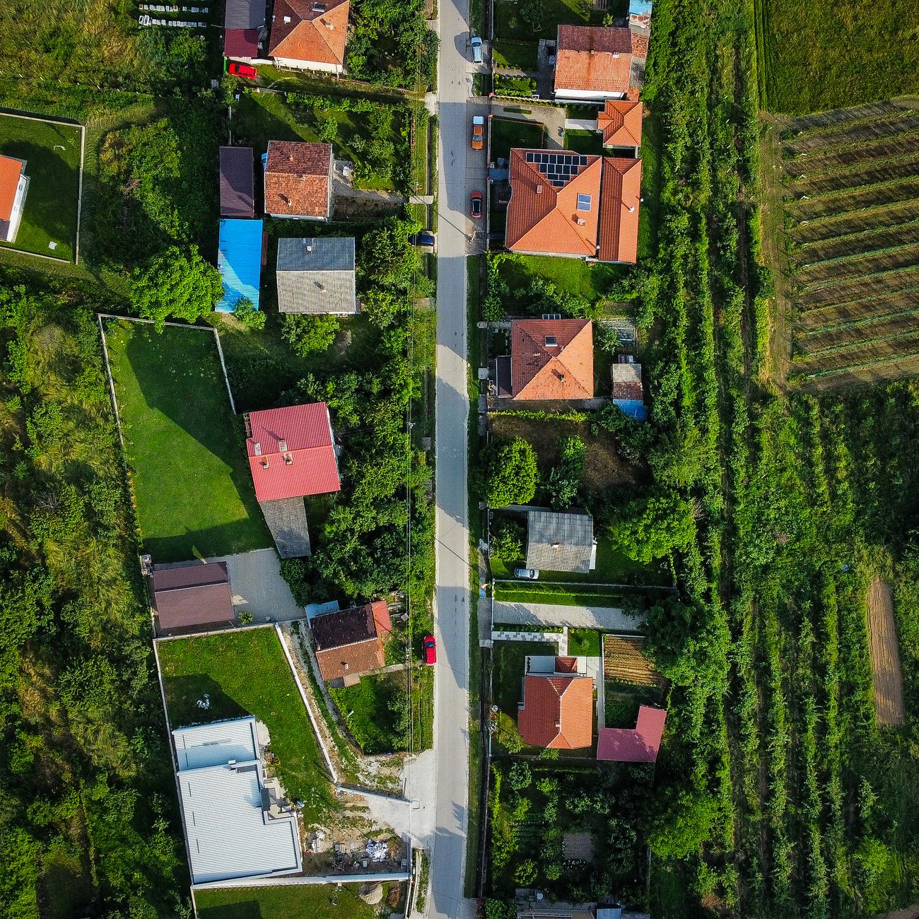 Community Development in Housing