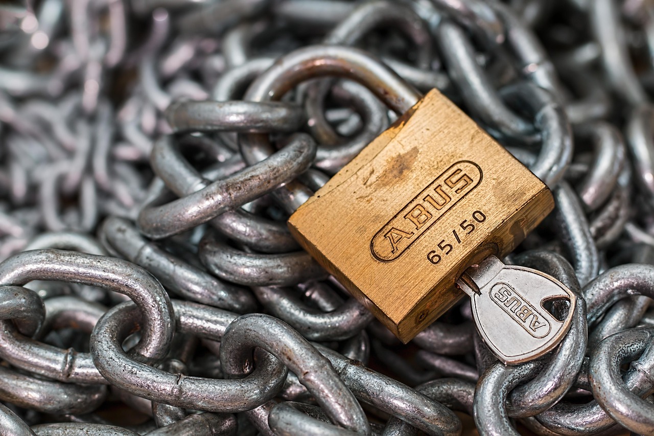 AI Security and Privacy