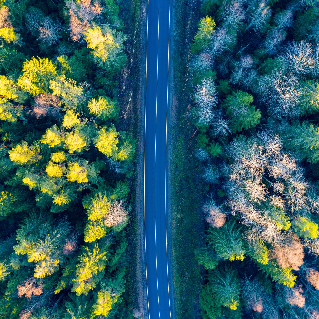 Organizational Readiness for AI Adoption