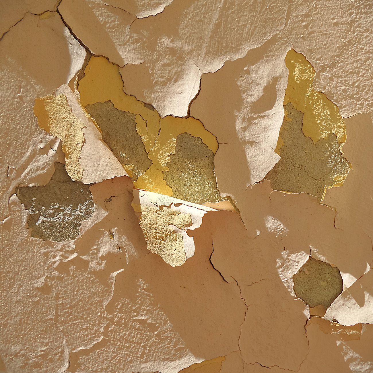 Troubleshooting in Polymer Coating Formulation