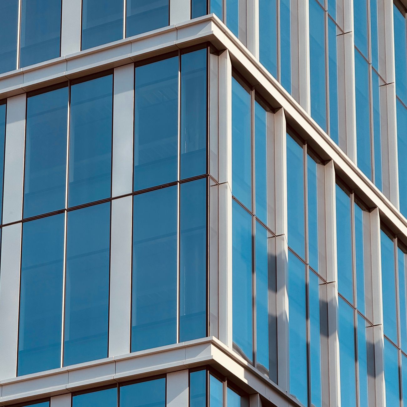 Auditing and Assurance