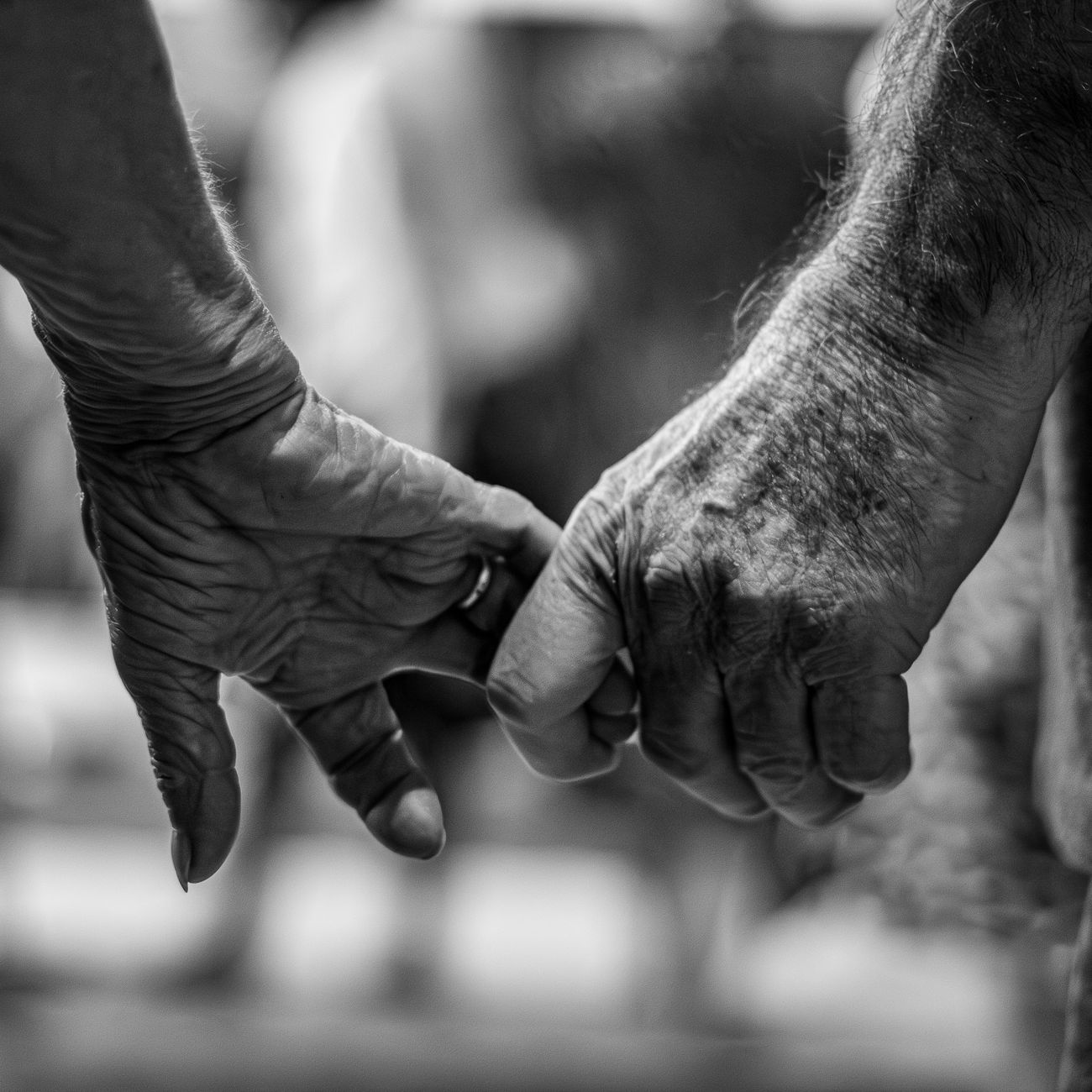 Longevity Health Assessment and Evaluation