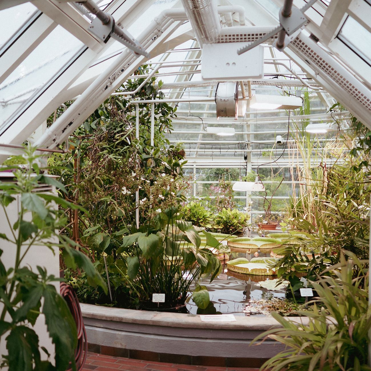 Lighting Technologies for Horticulture