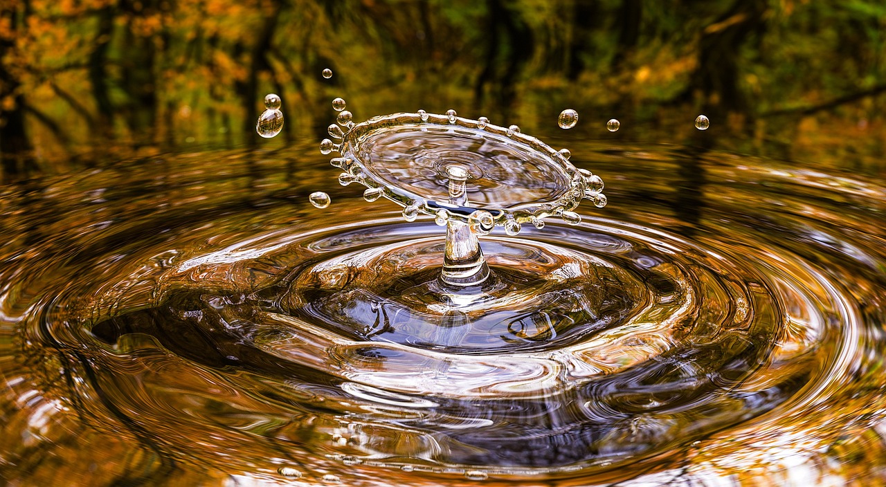 Circular Economy in Packaging