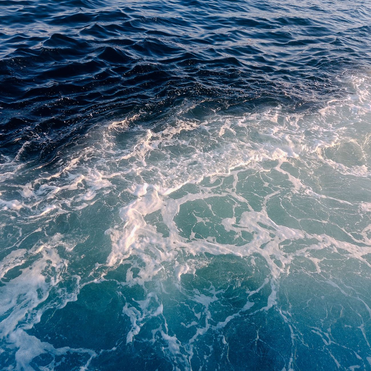 Toxicology of Aquatic Organisms