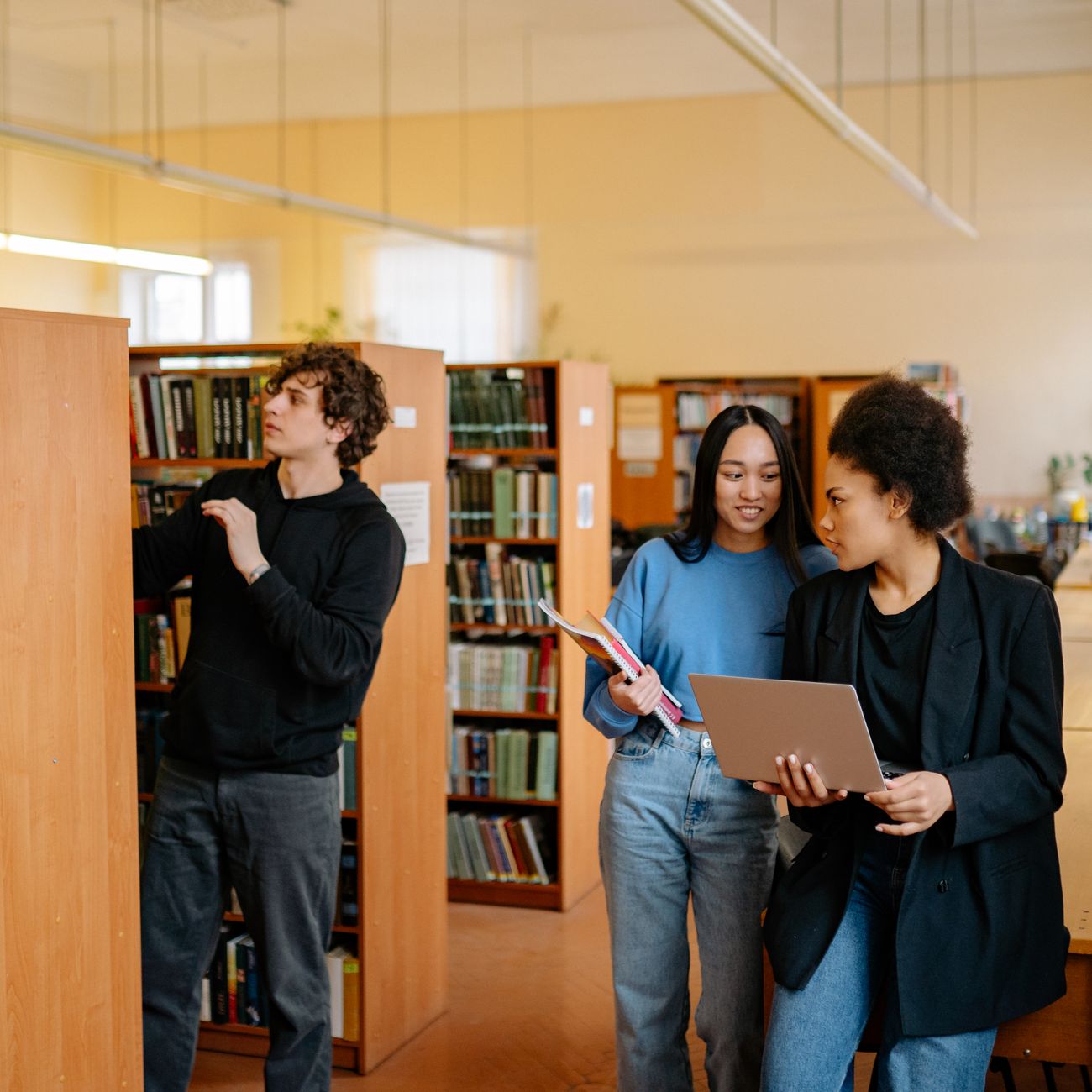 Literature in the Digital Age
