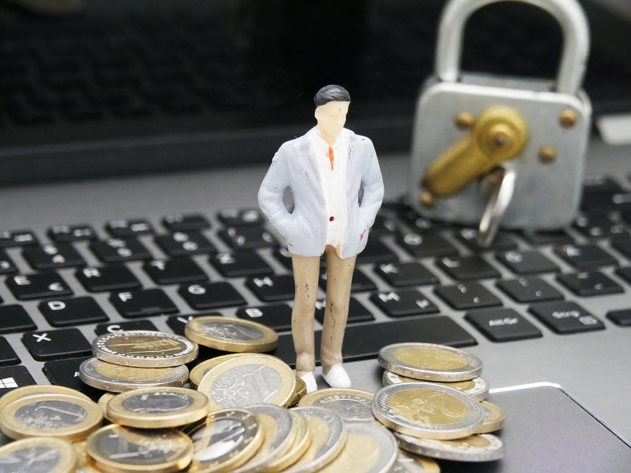 HRIS Security and Privacy