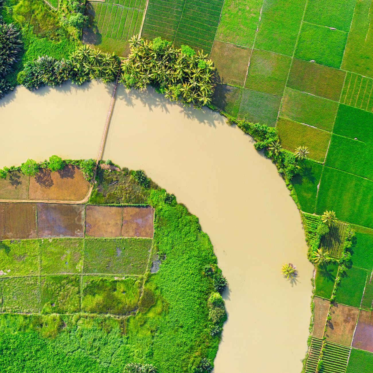 Innovation and Change Management in Agriculture
