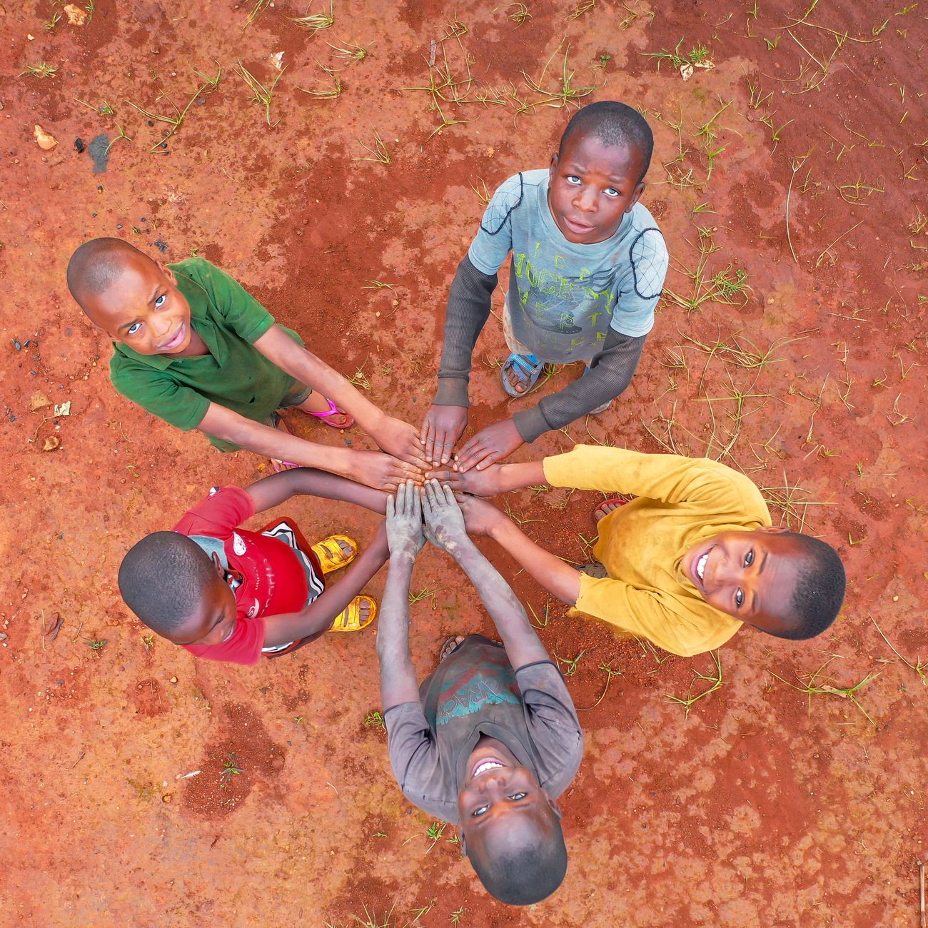 Communications and Stakeholder Engagement in Agriculture