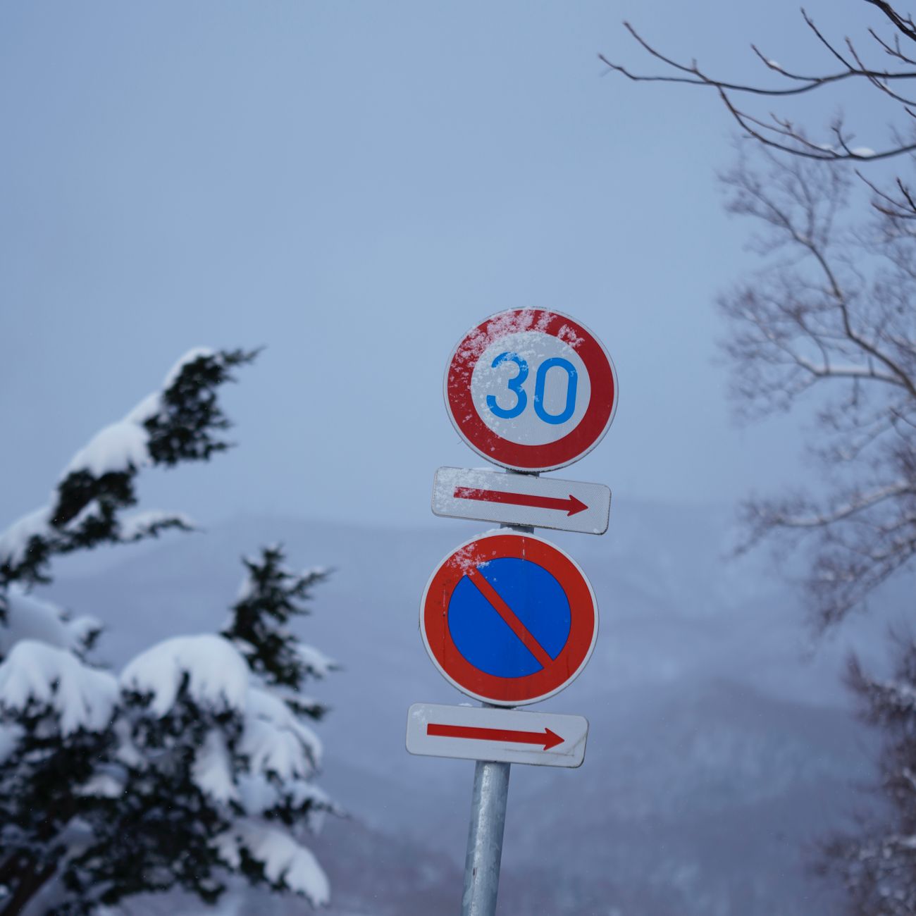 Regulatory Considerations in AI for Compensation and Benefits
