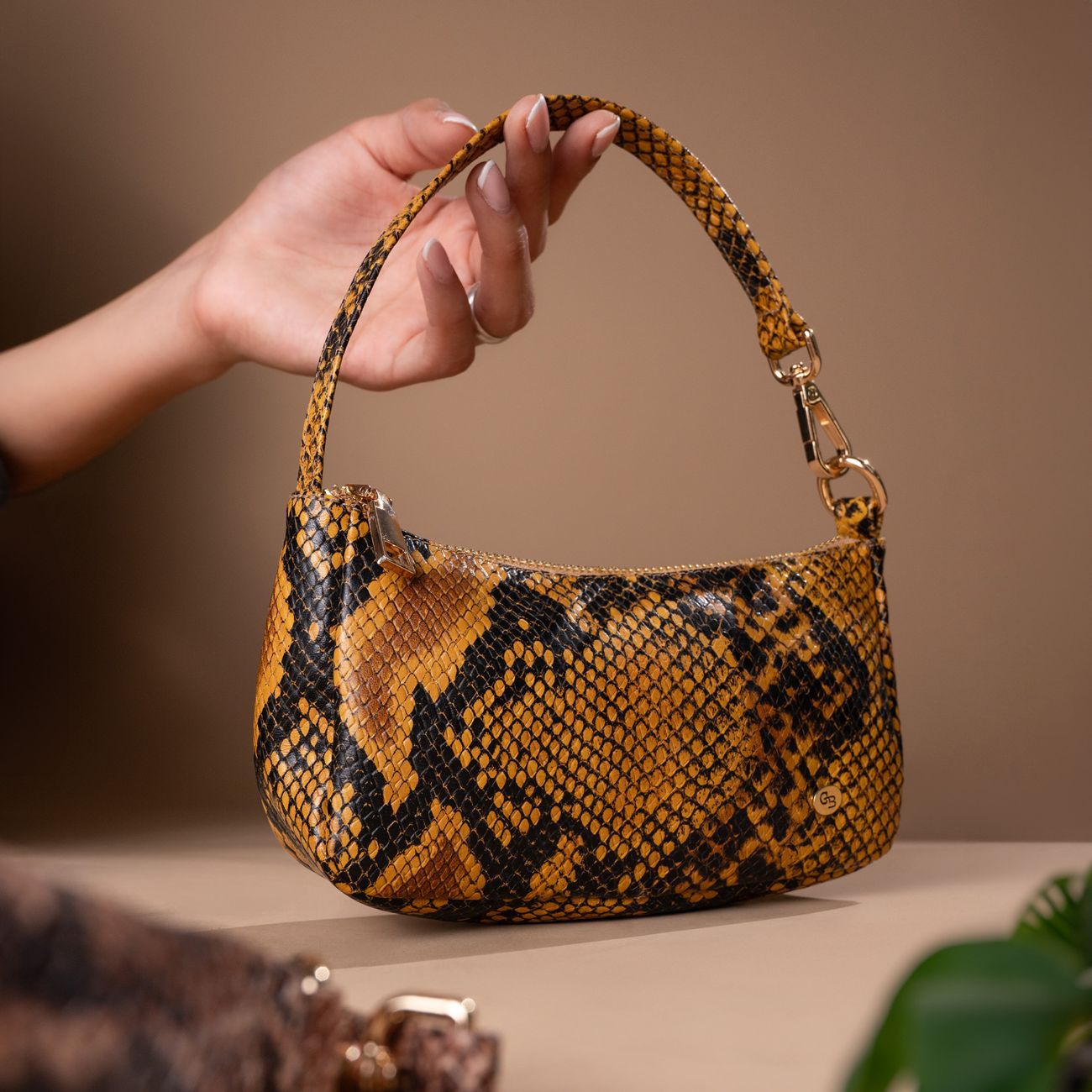 Handling Snakes in Public Settings