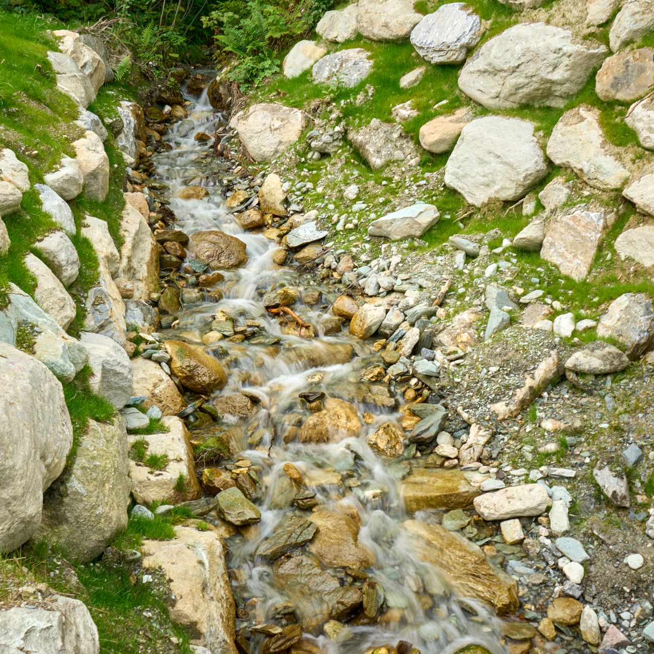 Risk Management for Dams