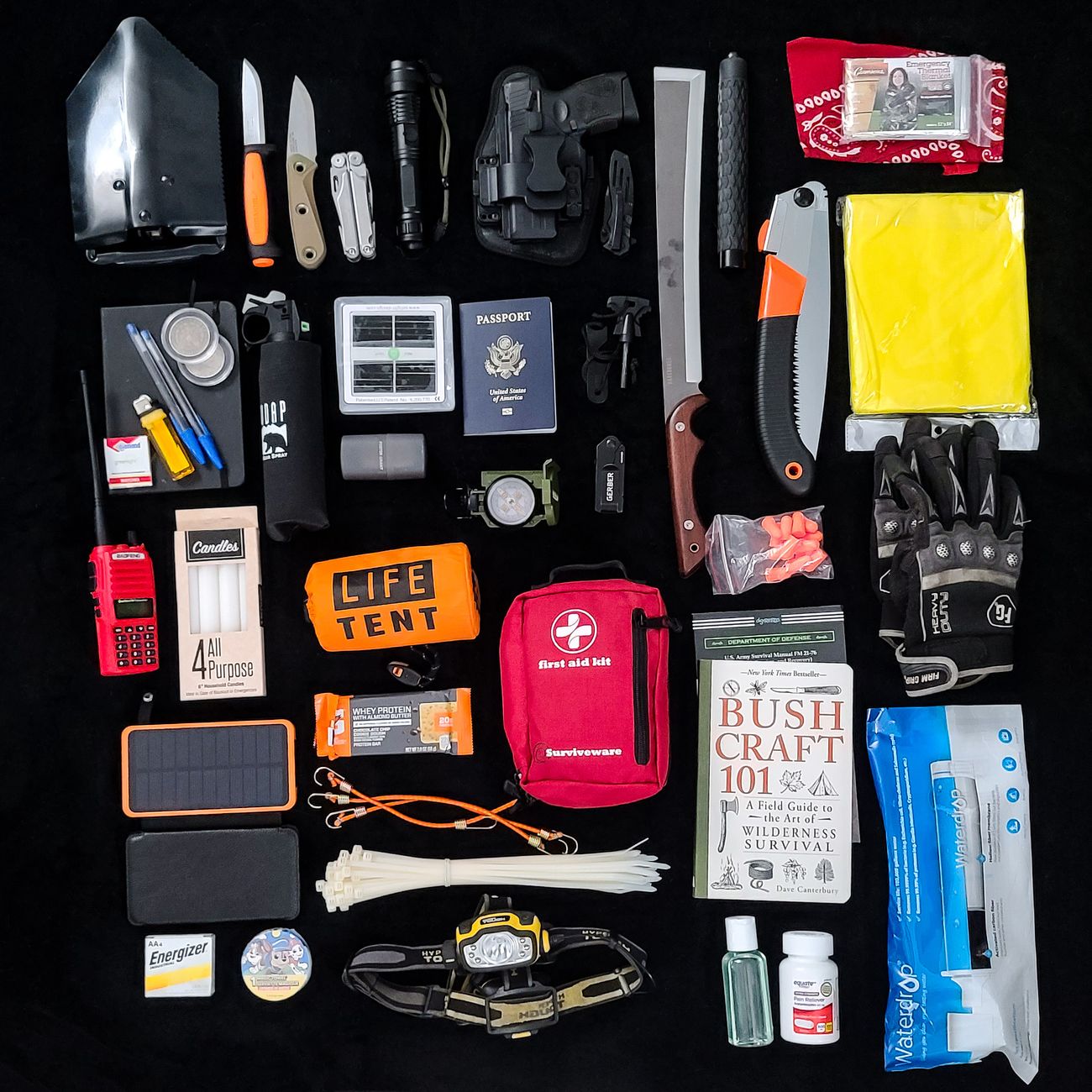Emergency First Aid and CPR.