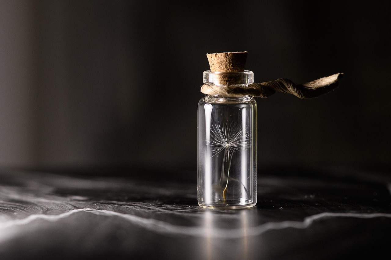 Fungi Processing and Preservation