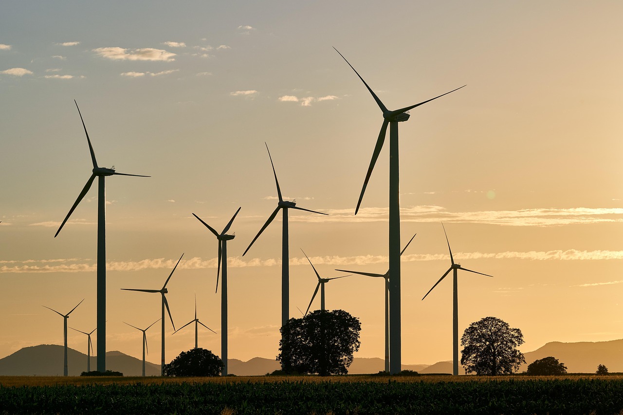 Renewable Energy Policy and Regulation