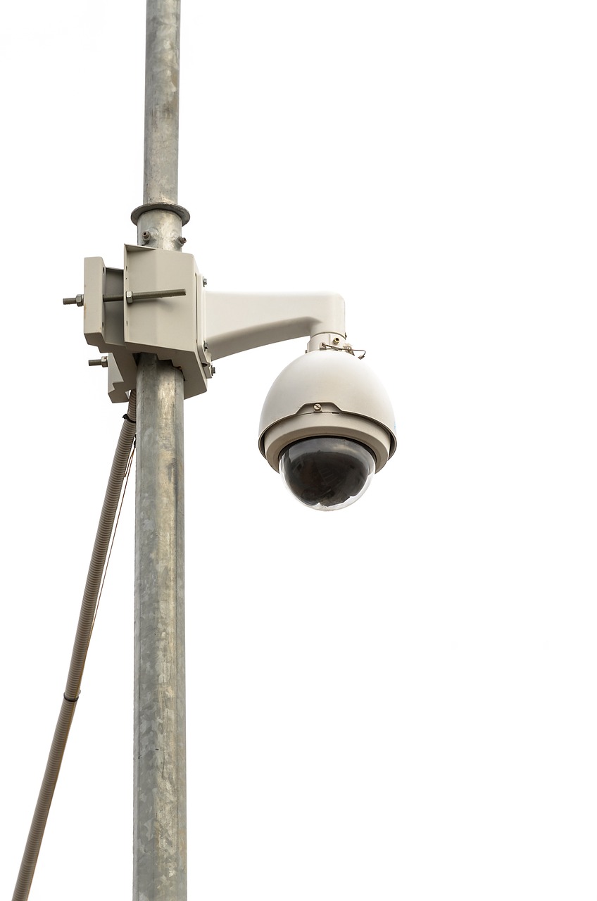 Disease Surveillance and Reporting Systems