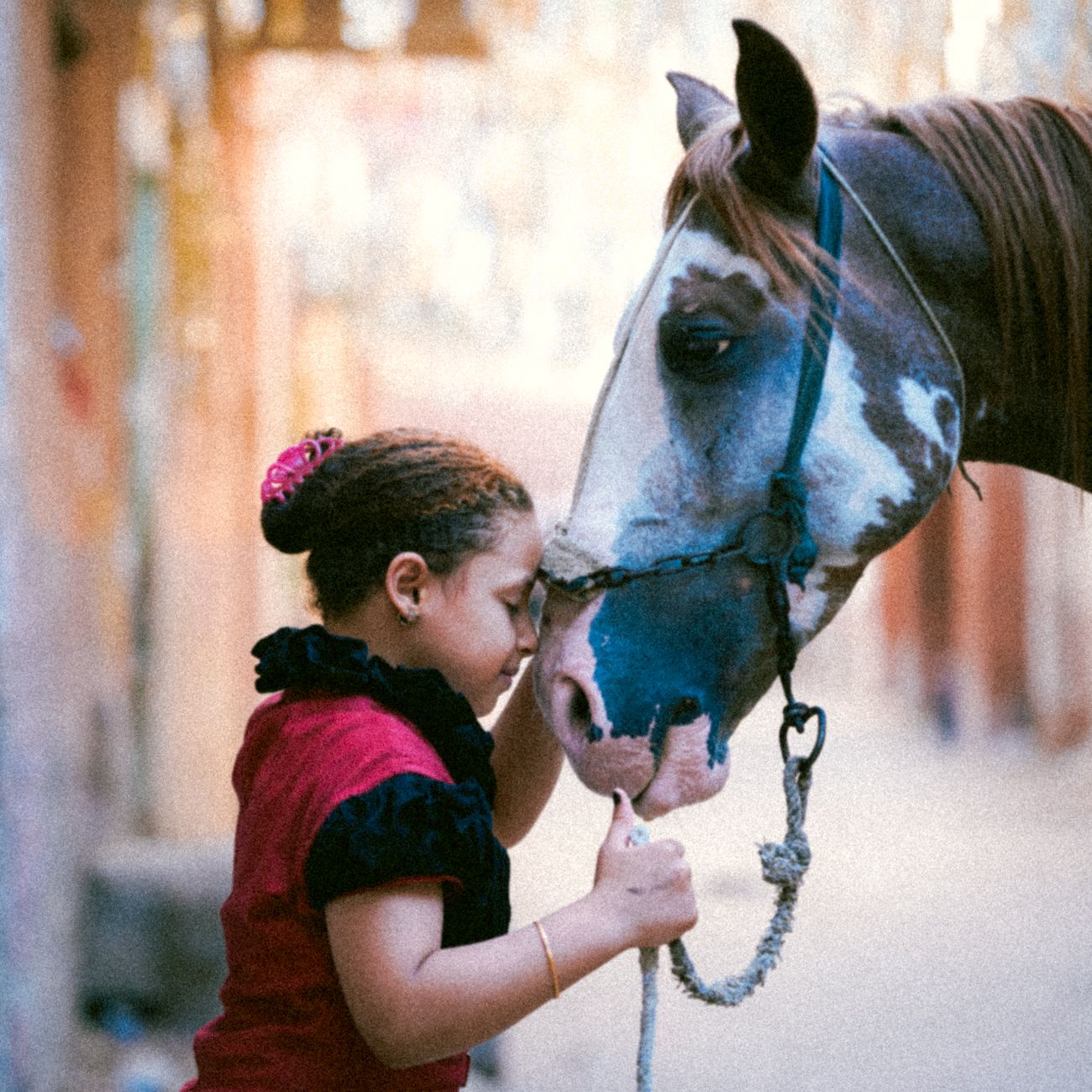 Equine Behavior and Communication