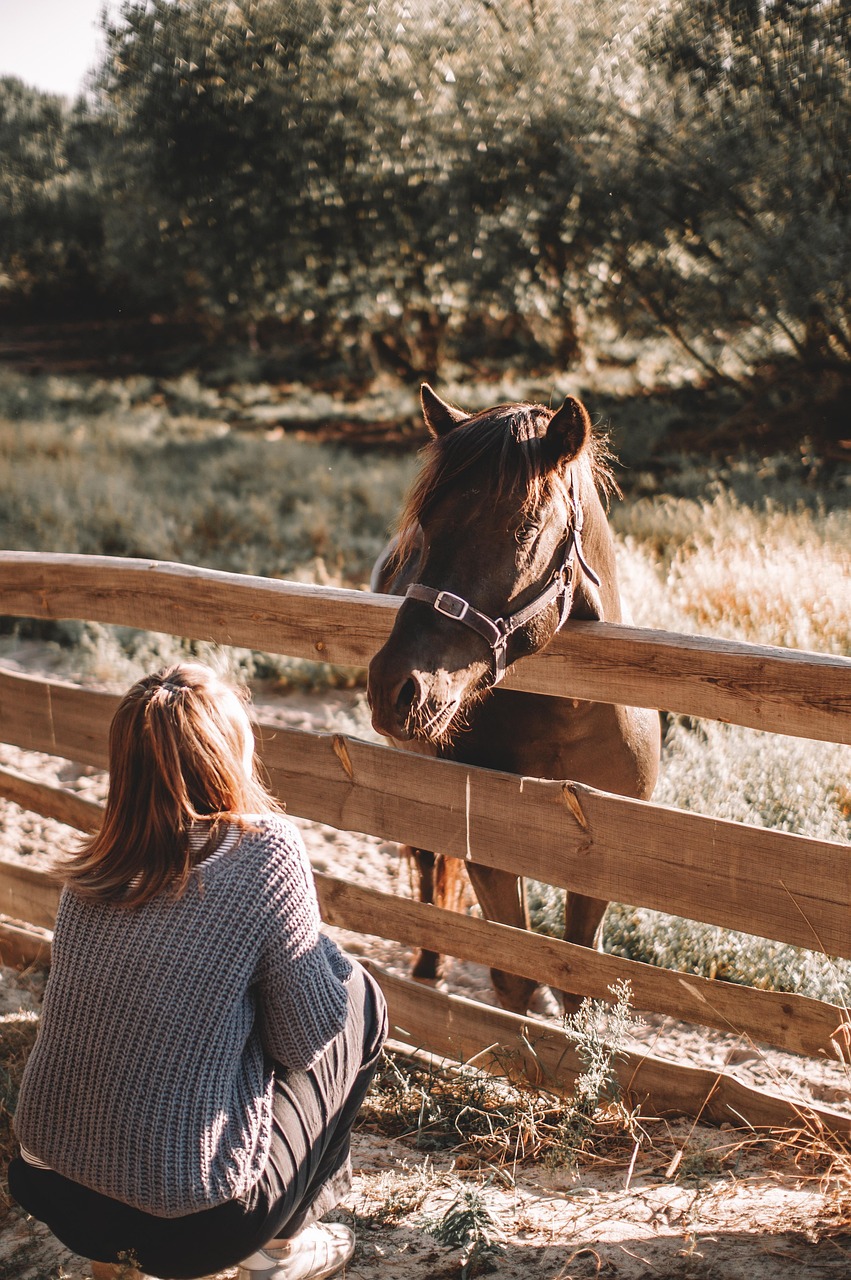 Equine-Assisted Mindfulness Practices