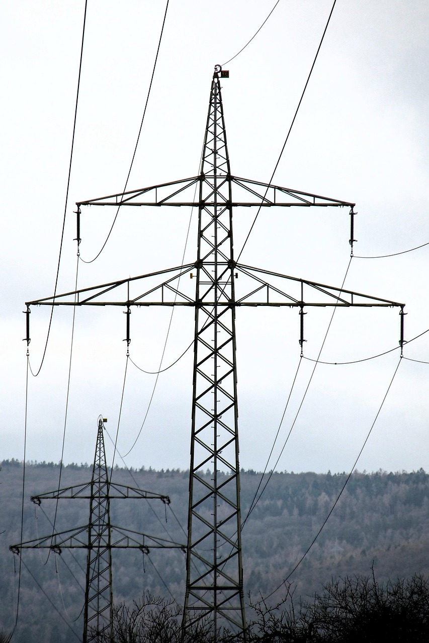 Smart Grids and Microgrids