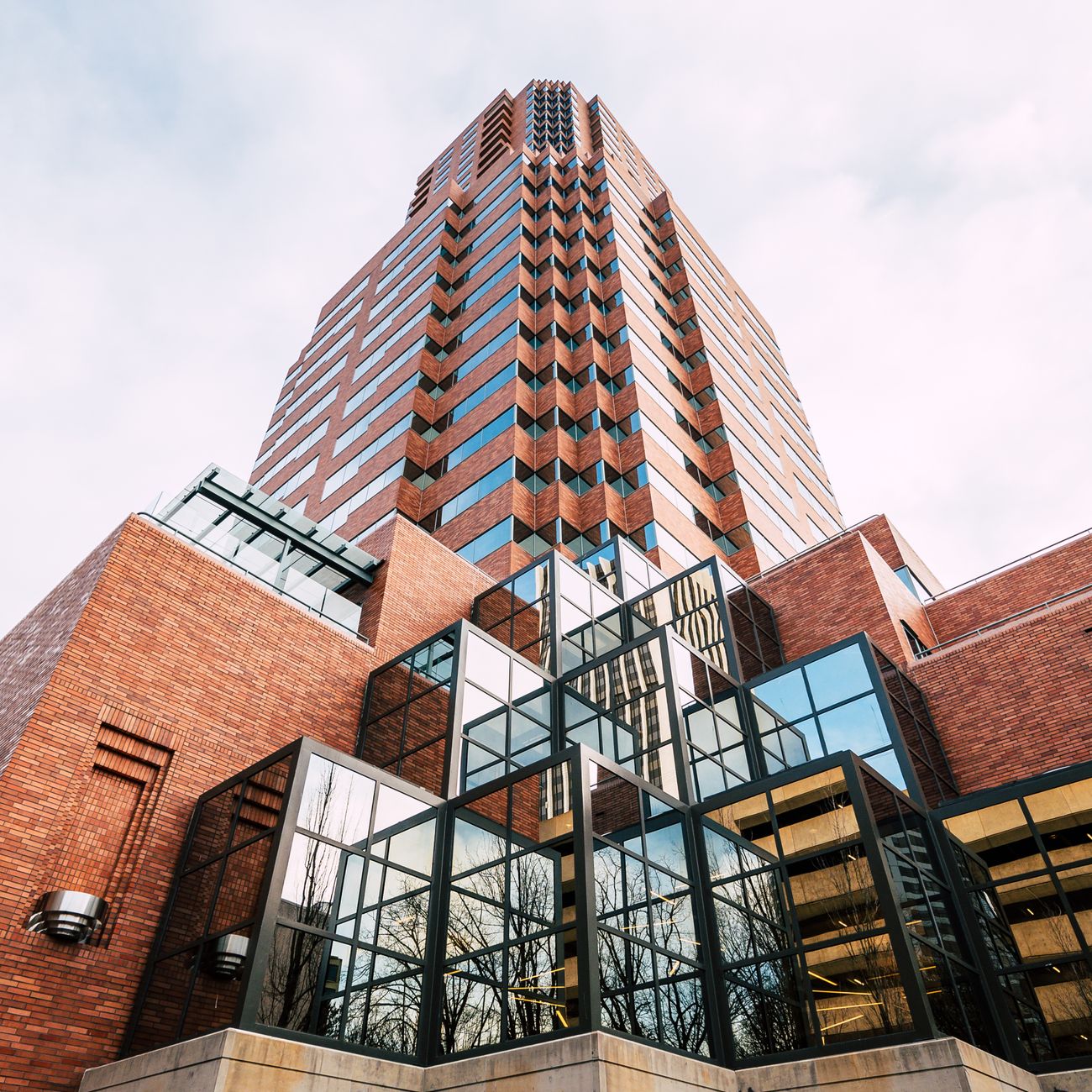 Professional Development and Portfolio Building