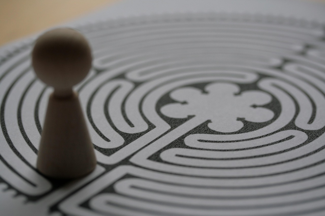 Future Directions in Psychedelic-assisted Psychotherapy