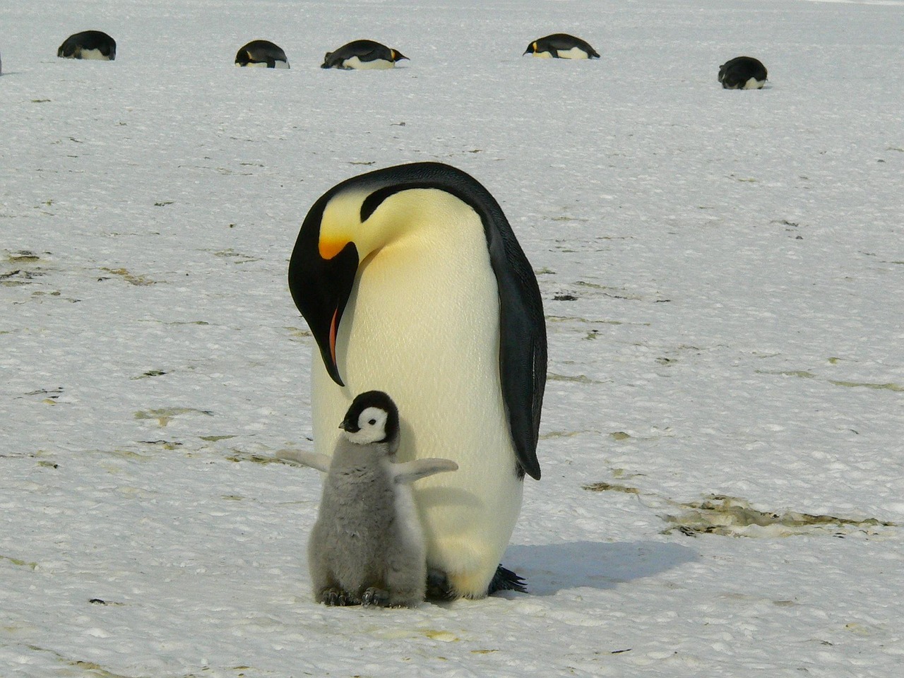 Parenting Styles and Approaches