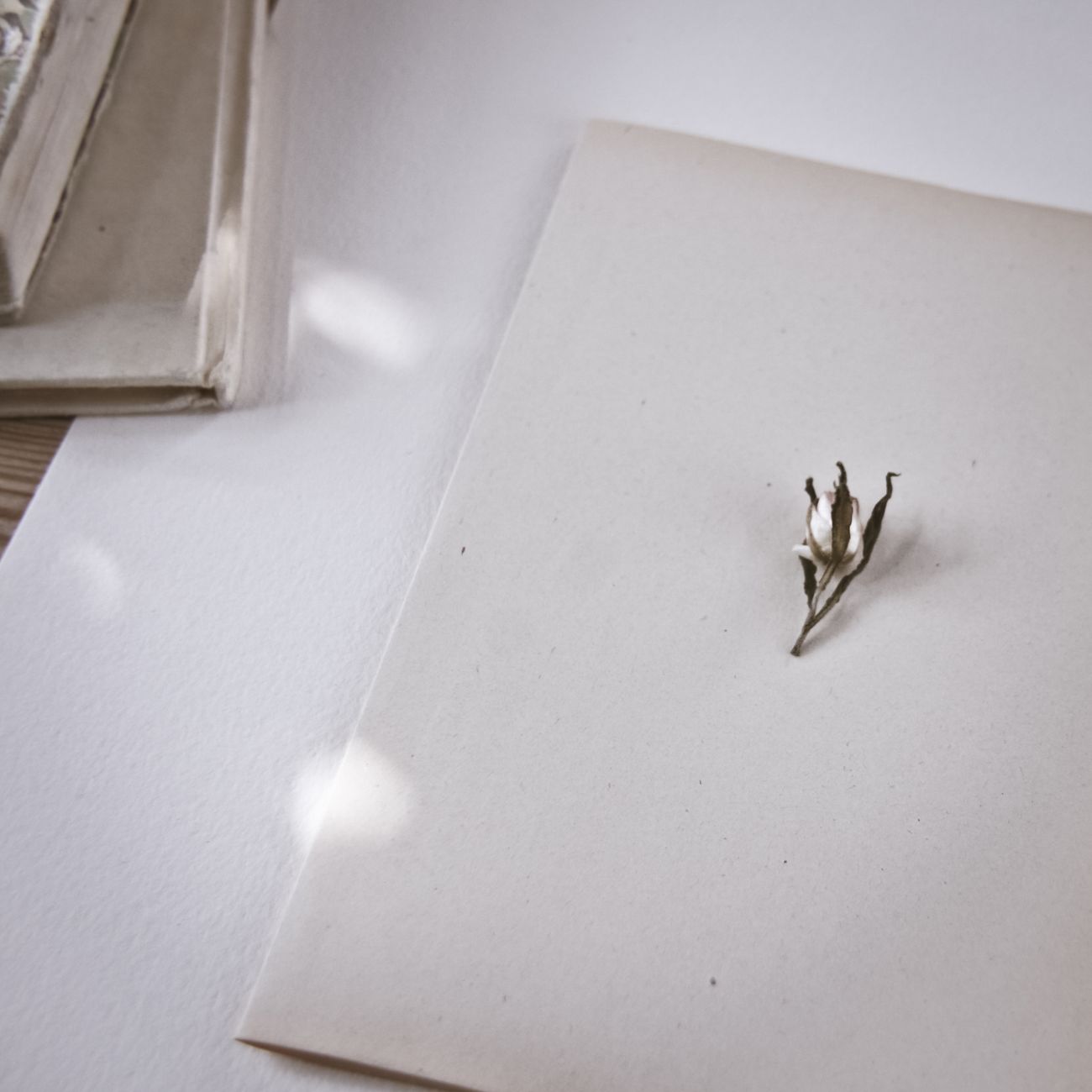 Digital Preservation of Vintage Paper Items
