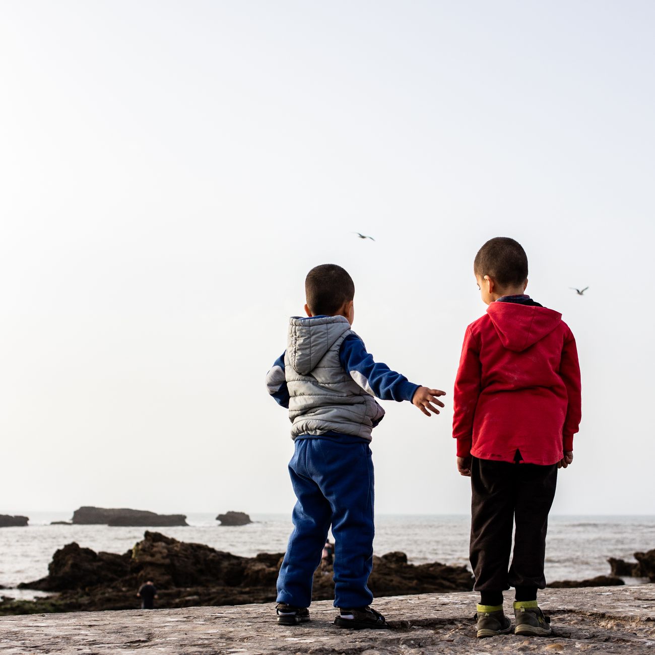 Child Development and Psychopathology