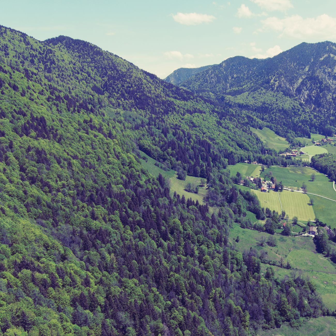 Environmental Economics and Cost-Benefit Analysis
