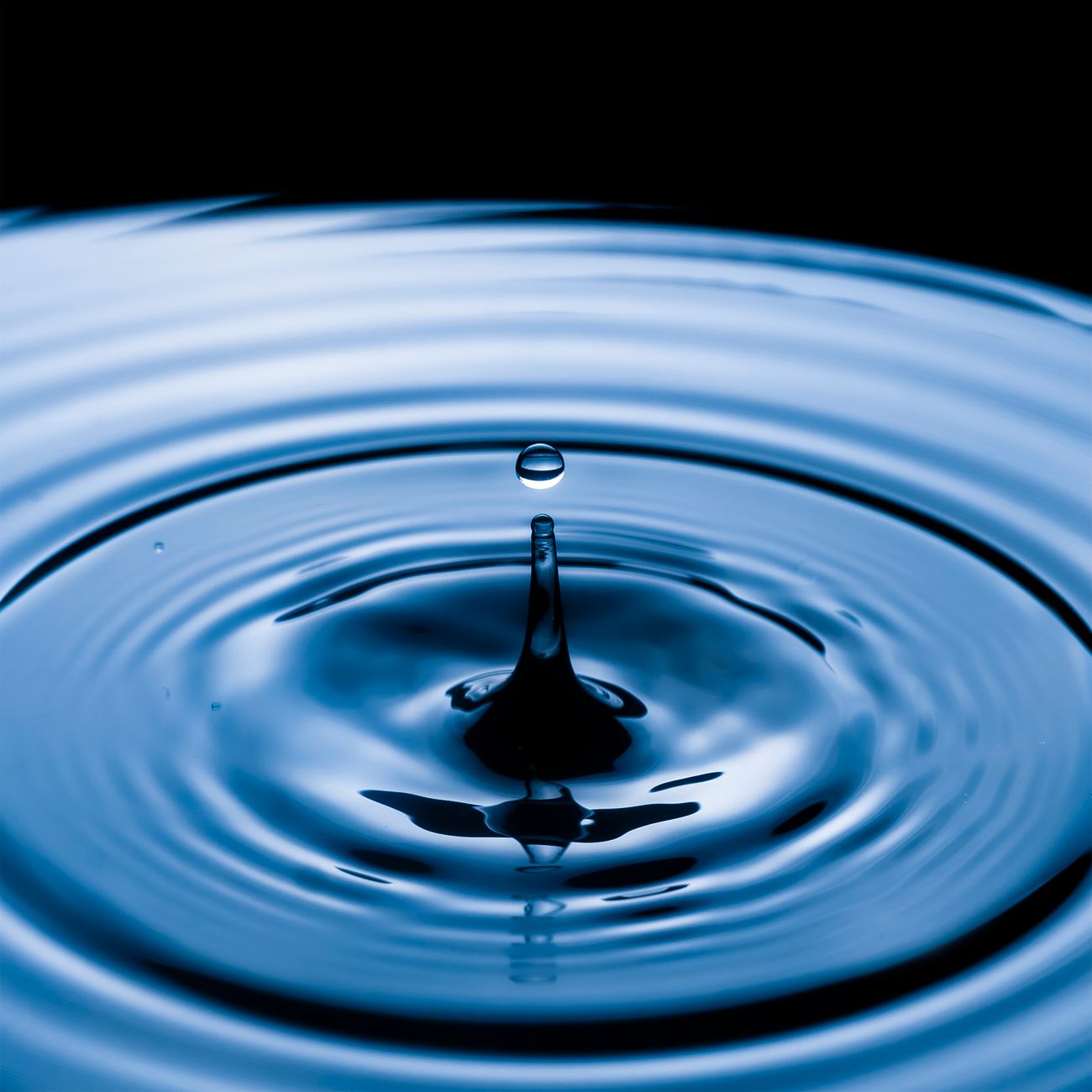 Water Quality Modeling