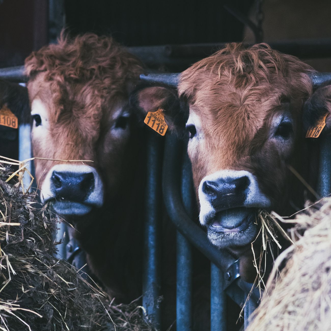 Introduction to Agricultural Law (United Kingdom)