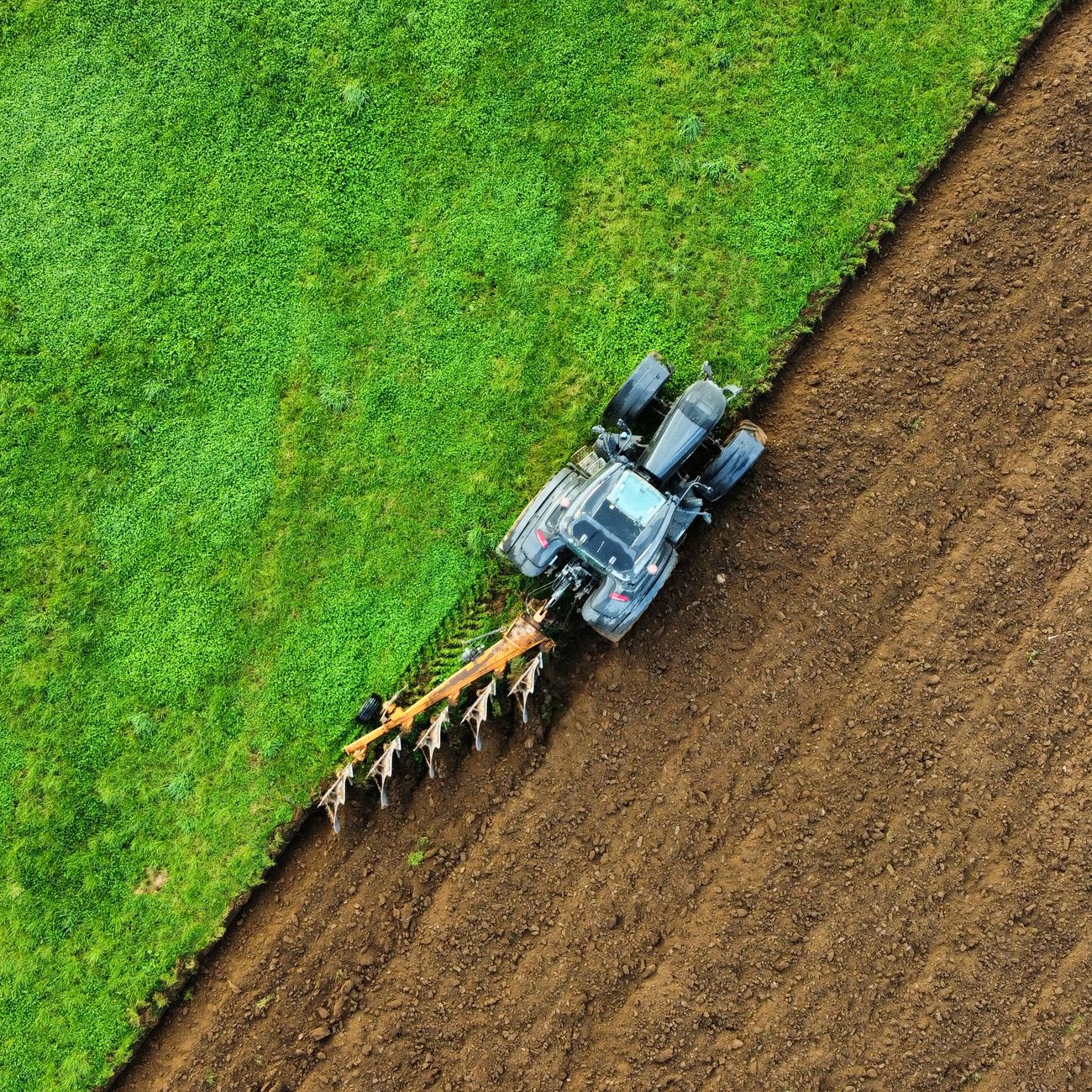 Legal Issues in Farm Management (United Kingdom)