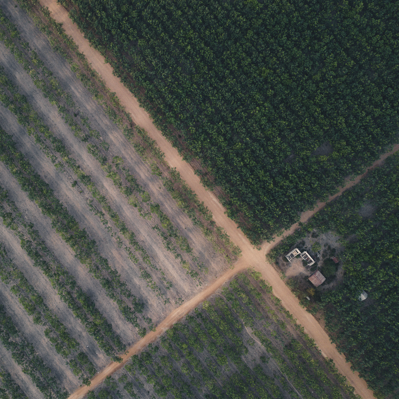 Land Tenure and Agricultural Leases (United Kingdom)