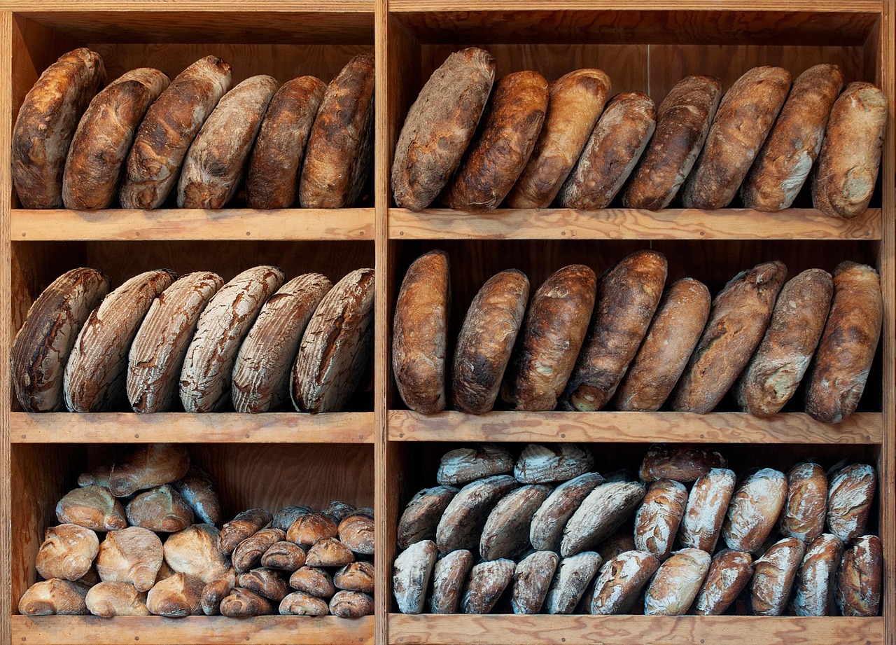 Nutrition and Health for the Elderly Baker